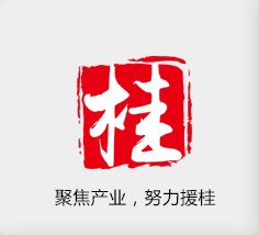 聚焦產(chǎn)業(yè)，努力援桂